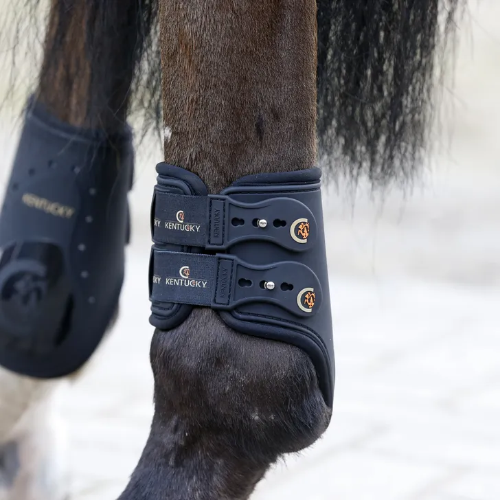 Fetlock Boots Elastic